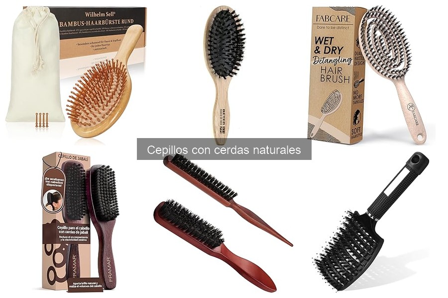 Ventajas y desventajas de los cepillos con cerdas naturales